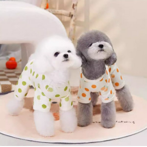 狗狗衣服夏季春夏季薄款透气四脚衣居家服宠物小型犬泰迪比熊衣服